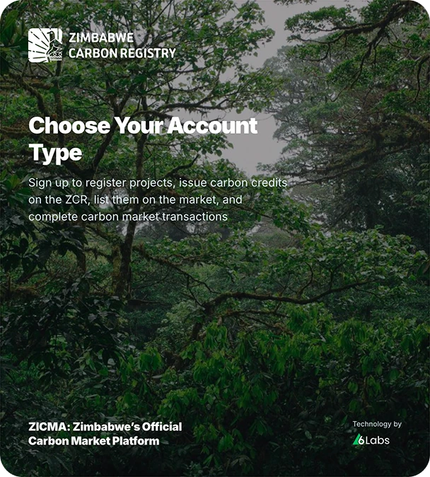 Zimbabwe Carbon Registry sign-up: choose your account type